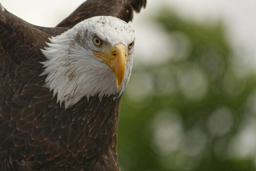 _DSC0041NF.jpg
