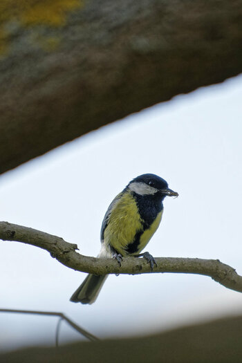 _DSC9962NF.jpg
