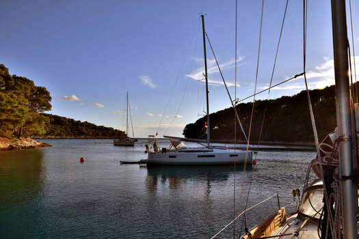 20211013_170238_nf.JPG
