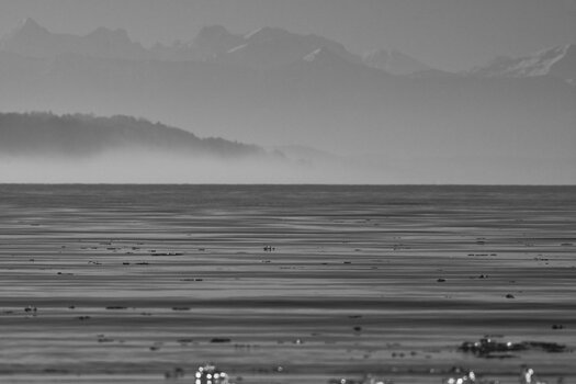 DSC_4584_0001.jpg
