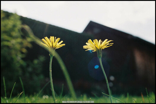 5637C5CF-F805-45AF-AF40-F78193CF198A.jpeg