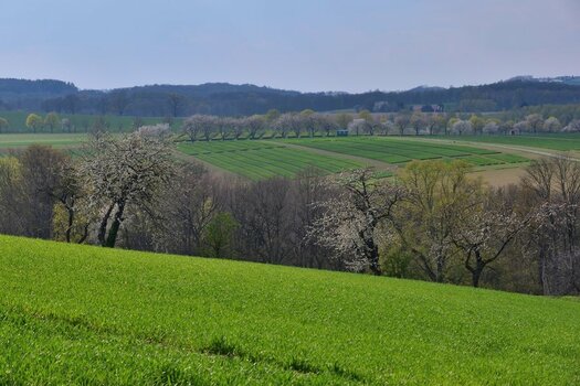 DSC_2988_00001n.jpg