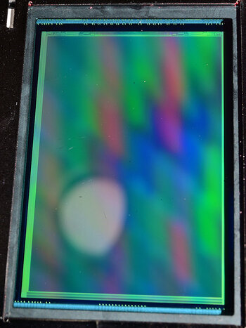 DSC_10920.jpg