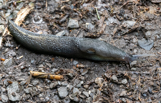 DSC_1269-2.jpg