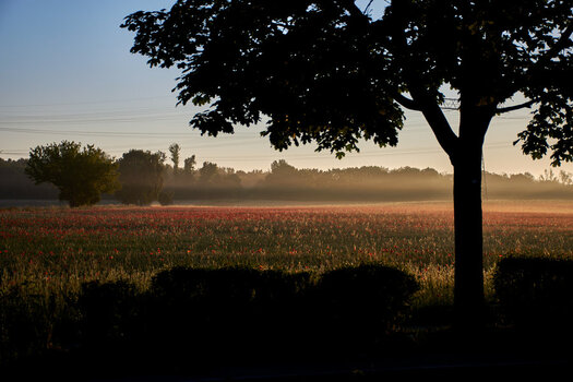 DSC_1294.jpg