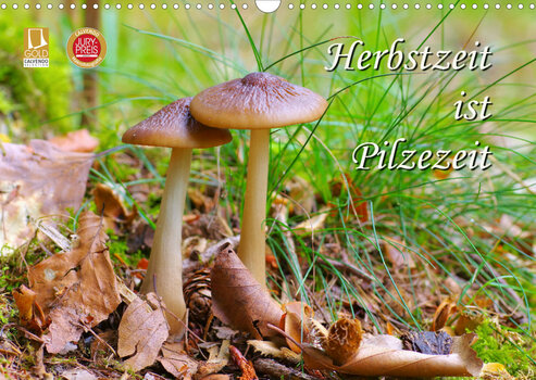 Deckblatt des Kalenders Herbstzeit ist Pilzezeit von Thomas Polske Deckblatt des Kalenders Herbstzeit ist Pilzezeit von Thomas Polske