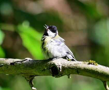 DSC_2103~3.JPG