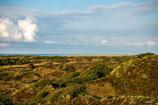 Dünenlandschaft Spiekeroog 1.jpg