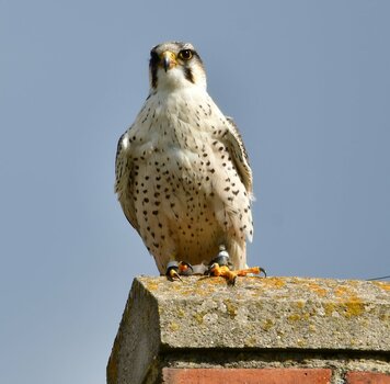 DSC_3160~2.JPG