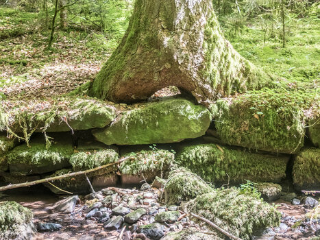 DSCF2901-HDR.jpg