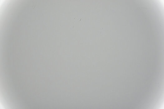 DSC_10939.jpg