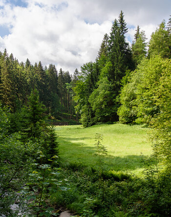 750_7718.JPG