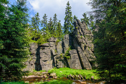 750_7788.JPG