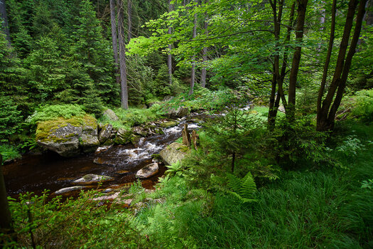 750_7807.JPG