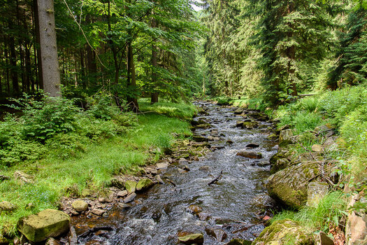 750_7741.JPG
