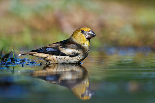 DSC_5120_3.jpg