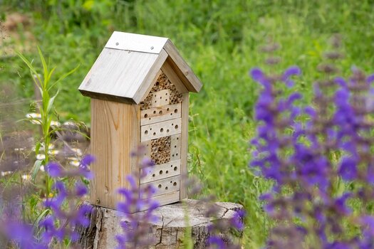 Ein Wildbienenhotel auf der Wildbienenschaugarten Berlin Treptow Ein Wildbienenhotel auf der Wildbienenschaugarten Berlin Treptow