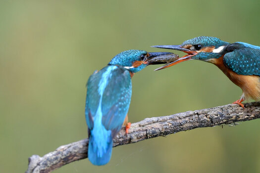 DSC_5310_2.jpg