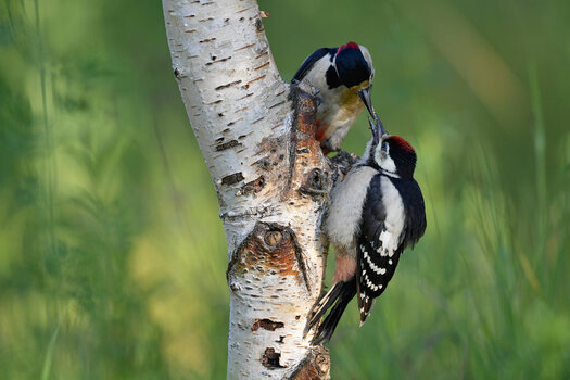 DSC_3392_3.jpg