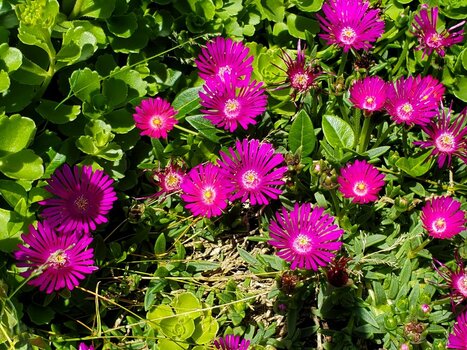 20220611_133722.jpg