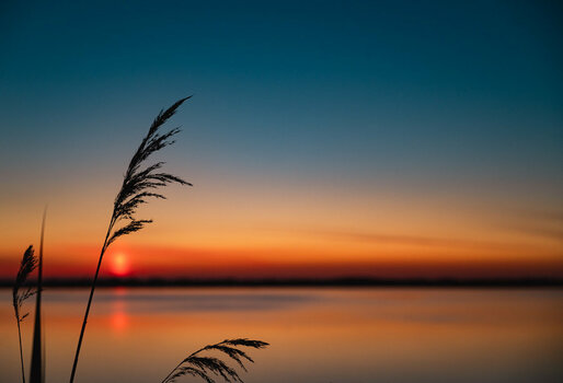 Sonnenuntergang an der Schlei.jpg