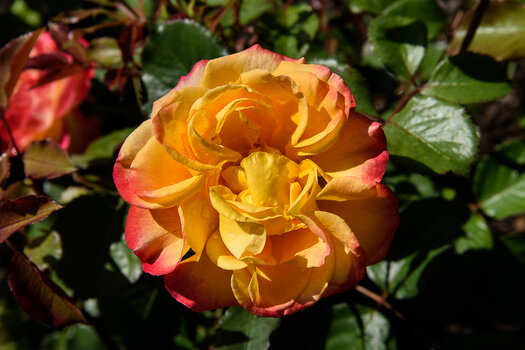 750_8056.JPG
