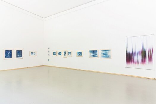 Blick in die Ausstellung NATUR. KUNST. LANDSCHAFT von Christine Steyer und Jürgen Strasser