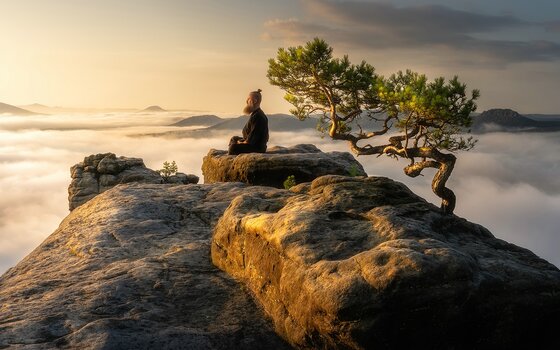 Mann in Meditationssitz auf Felsen über den Wolken mit knorrig gewachsenem Baum hinter ihm.