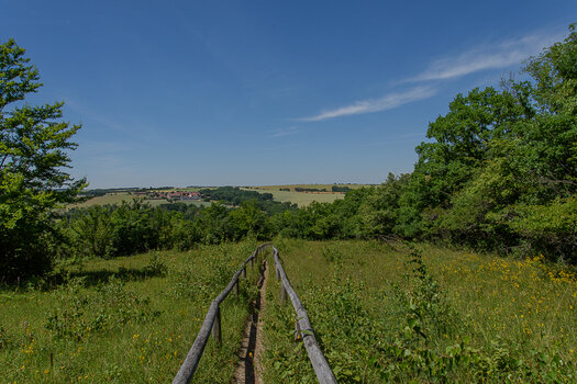 750_8179.JPG