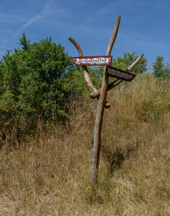 750_8202.JPG