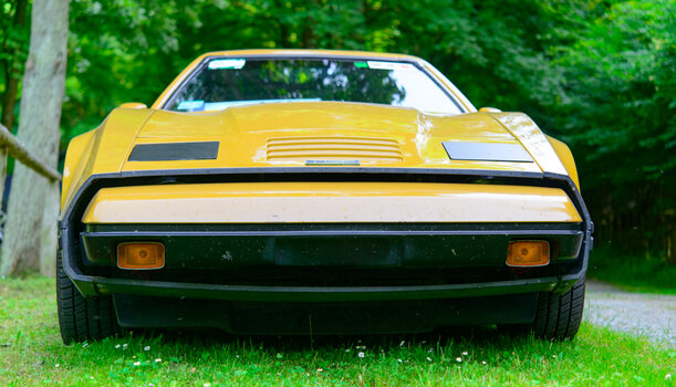 bricklin-0400.jpg