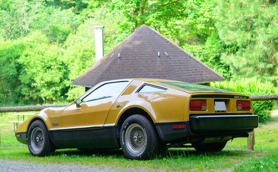 bricklin-0300.jpg