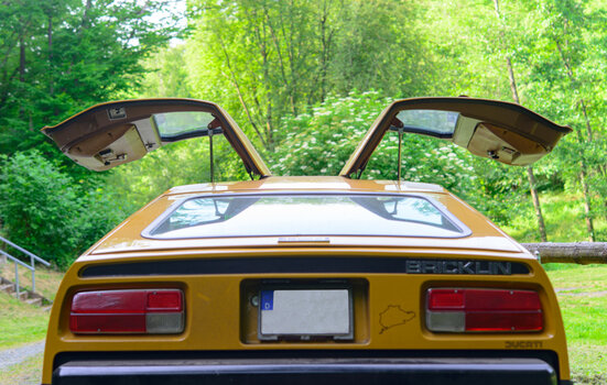 bricklin-0200.jpg