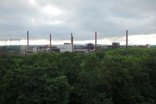 DSCN1906_low.jpg