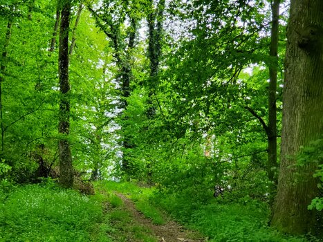 20220505_165527.jpg