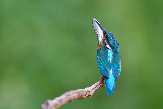 DSC_0289_2.jpg