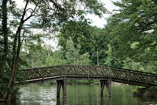 DFX_4026.jpg