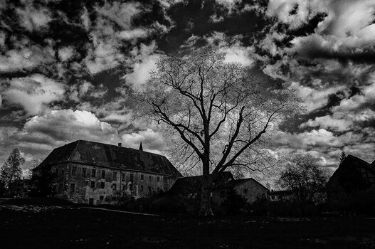 DSC_1266_Nik_DxO.JPG