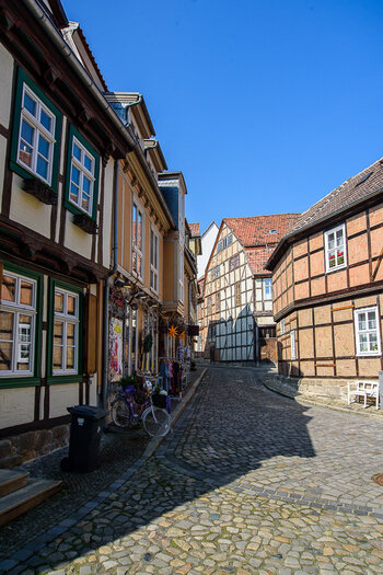 750_6543-2.JPG