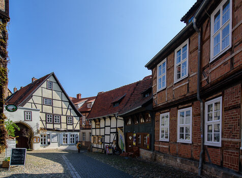 750_6549-2.JPG