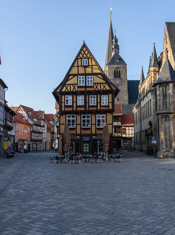 750_6720-2.JPG
