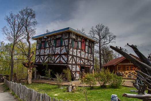 750_6748-2.JPG