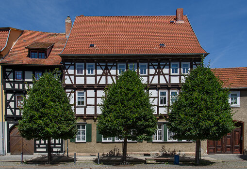 750_8098.JPG