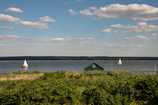 20220702_173904_nf.jpg