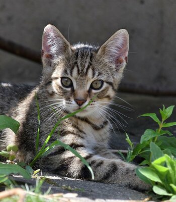 DSC_3074_00001 (2)n.jpg