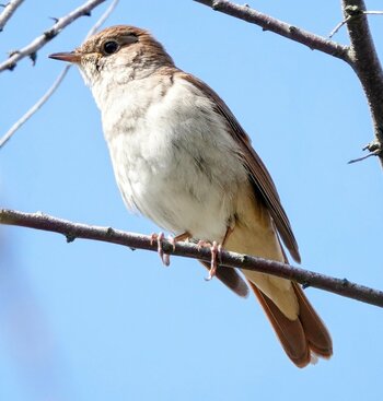 DSC04820~4.JPG