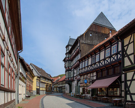 750_6954-2.JPG