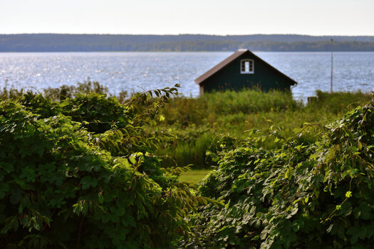 20220703_092221_nf.JPG