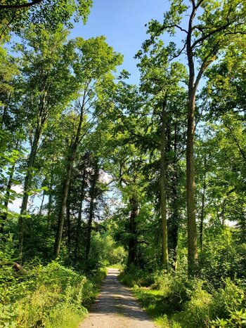 2022-07-07_10-28-15.jpg