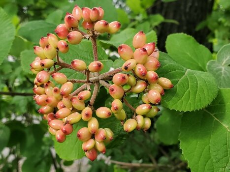 2022-07-10_09-40-55.jpg